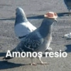 Animaladas Random🤪✨5 14