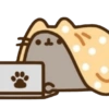 Gatinho fofo 29