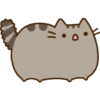 Gatinho fofo 8