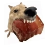 Memes de cachorro 5