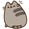 Gatinho fofo 16