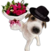 Ramos 💐Para ti Amor❤️ 🐝 22