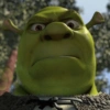 🏰🟢 SHREK MOODS 🟢🏰 27