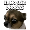🐕🐶Perrito sin palabras 😬🙁 16