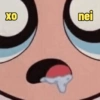 Sapecagens 11