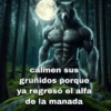 Lobo solirario 🐺 | meme 19