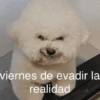 Hoy es viernes de... 8