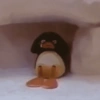 🐧 Pingu 📺 8
