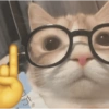 🐈GATO-s MEME-s🌐 18