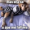 🐒 Macaco Engraçado  5