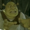 🏰🟢 SHREK MOODS 🟢🏰 11