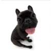 Dog 6