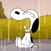 Snoopy  25
