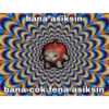 bana asiksin @miawlabakim bana cok fena asiksin