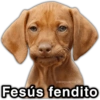📮MEMES para ti 13📩 13
