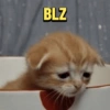 BLZ