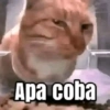 Apa coba