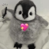 Pingüino cute🐧 17