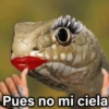 Pues no mi ciela