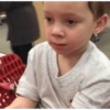 Gavin memes ✅️ 10