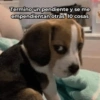 Memes en tendencia 01 ✨🔥 9