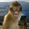 Monos🐒  28