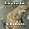 Kucing Galau 13