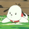 Pochacco 🐾 15