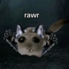 Cricetino Sad Hamster pt.2 14