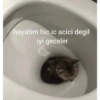 hayatim hic ic acici degil iyi geceler