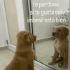 😎 STICKERS SHITPOST 17 🤙 14