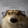 Apoco si tilin? xd 11