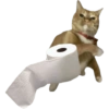 Meme Kucing Lempar 😾 8