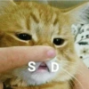 Cats and dogs funny 6