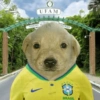 🇧🇷⚽️ BRASIL ⚽️🇧🇷 16