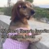 Mi género literario favorito es el chisme, joven @