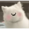 Dog 13