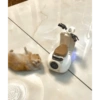 Hamster Reaction  5