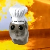 Cricetino Sad Hamster pt.2 10