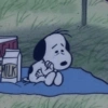 MILK