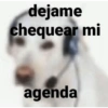 Más y Más Perritos 🐶🐾 10