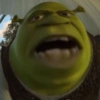 🏰🟢 SHREK MOODS 🟢🏰 16