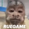 RUEGAME