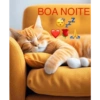 Frases 7