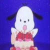 Pochacco 🐾 14