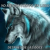 Lobo solirario 🐺 | meme 24