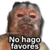 Memes Changuitos🐒 5
