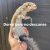 En jupiter Dormí pero no descanse