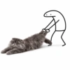 Kucing plenger reaction  6