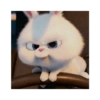 Snowball 🐇 8